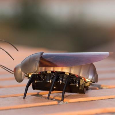 Offrez un iJouet à votre iPhone pour Noël