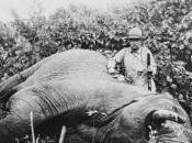 Nicolas Jaar/Theatre Roosevelt