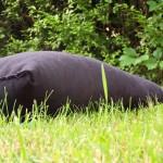 SAMSUNG DIGITAL CAMERA