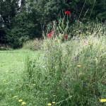 SAMSUNG DIGITAL CAMERA