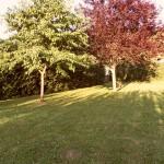 SAMSUNG DIGITAL CAMERA