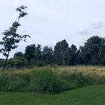 SAMSUNG DIGITAL CAMERA