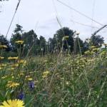 SAMSUNG DIGITAL CAMERA