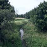 SAMSUNG DIGITAL CAMERA