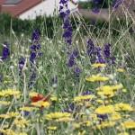 SAMSUNG DIGITAL CAMERA