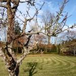 À Peltre, chez les soeurs.