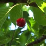 Photos exposées le 29 février 2012