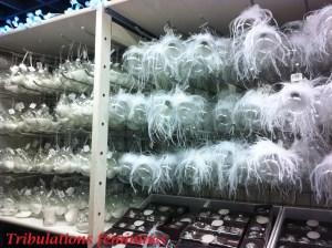 C’est bientôt Noël !