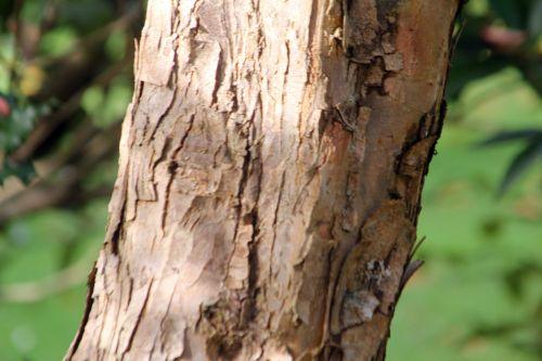 6 gb 21 oct 2012 103.jpg