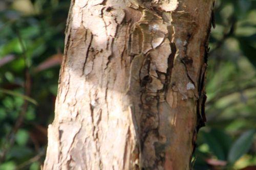 5 gb 21 oct 2012 104.jpg