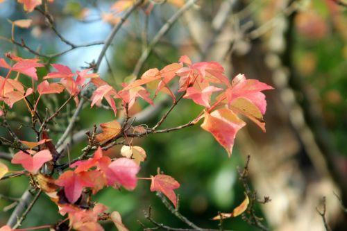 4 gb 21 oct 2012 099.jpg