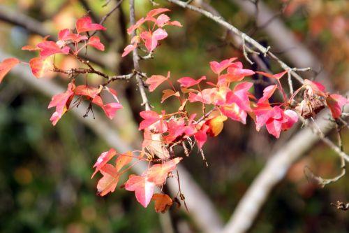 3 gb 21 oct 2012 101.jpg