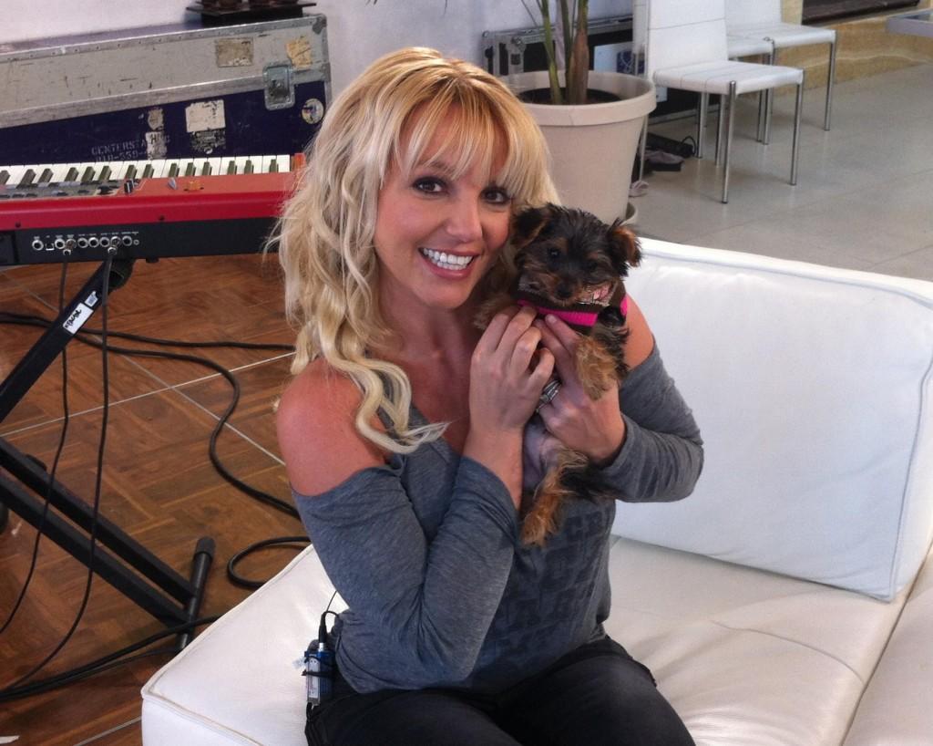 703826 10151299278943234 1897189685 o 1024x818 Nouvelle photo de Britney et sa chienne Hannah