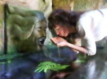 Les filles à go go go