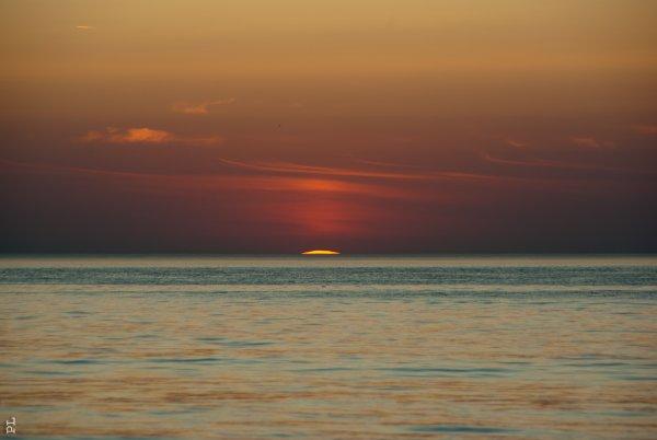 dites, qu'avez-vous vu?