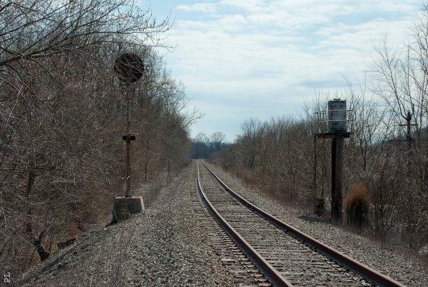 dites, qu'avez-vous vu?