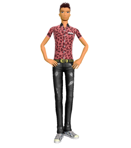 La Nouvelle Maison du Style au secours des gamers ?