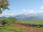 vraie agriculture sans propriété privée.