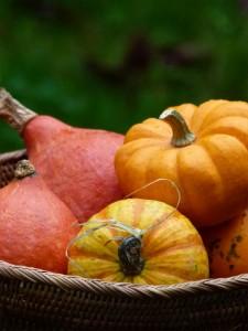 Purée des légumes oubliés