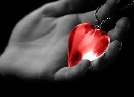 statine, anti cholestérol