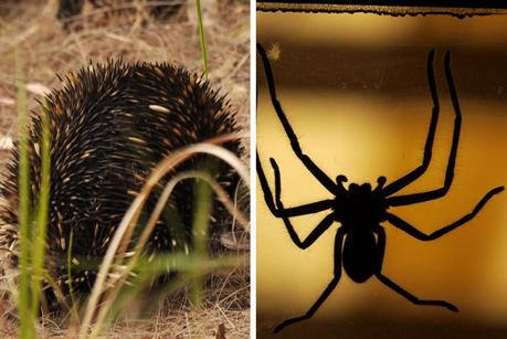 La cabane au bord de la rivière La cabane au bord de la rivière