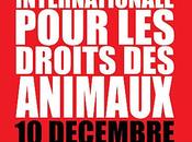 Journée international pour droits animaux 10/12/2012