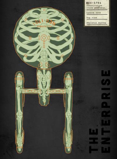 L’anatomie des vaisseau cultes