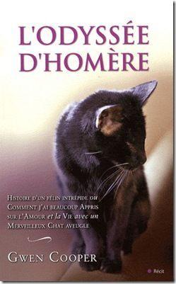 l'odyssée d'Homère