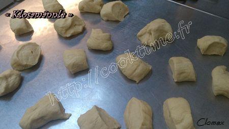 ClomaxDSC_0315-20121127-094201