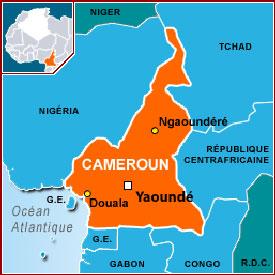 Cameroun : une opposition de façade