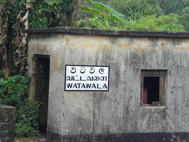 Un samedi, une photo sri lankaise #29