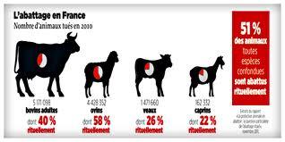 abattage sans etourdissement