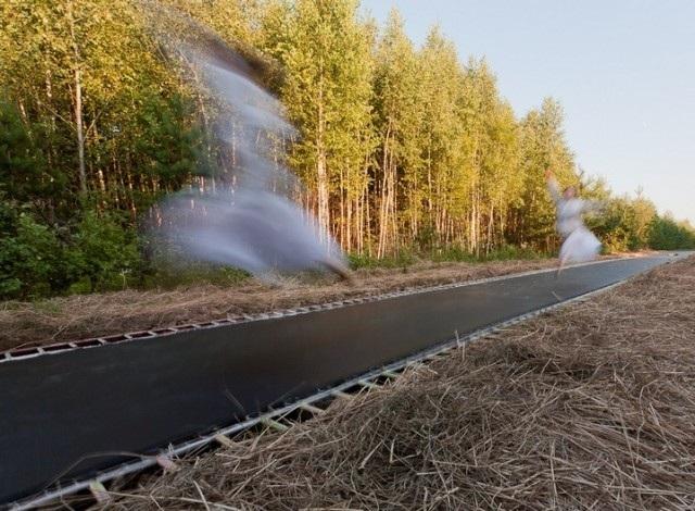 Fast Track – Le Trampoline dans la Forêt