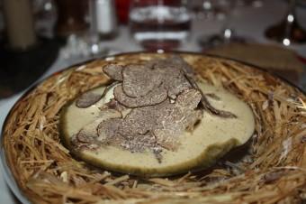 Loeuf  pourri  de truffes... © P.Faus  340x226
