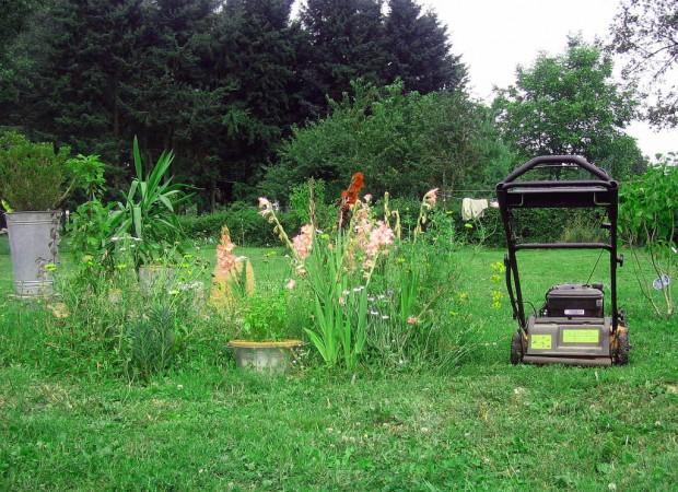 tondeuse_jardin_photo_olivier