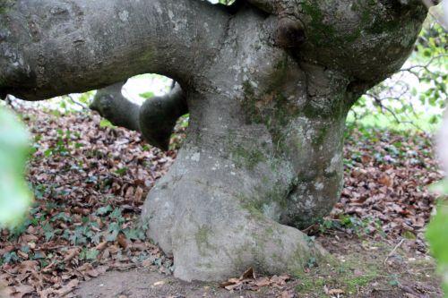 7 barres 13 oct 2012 006.jpg