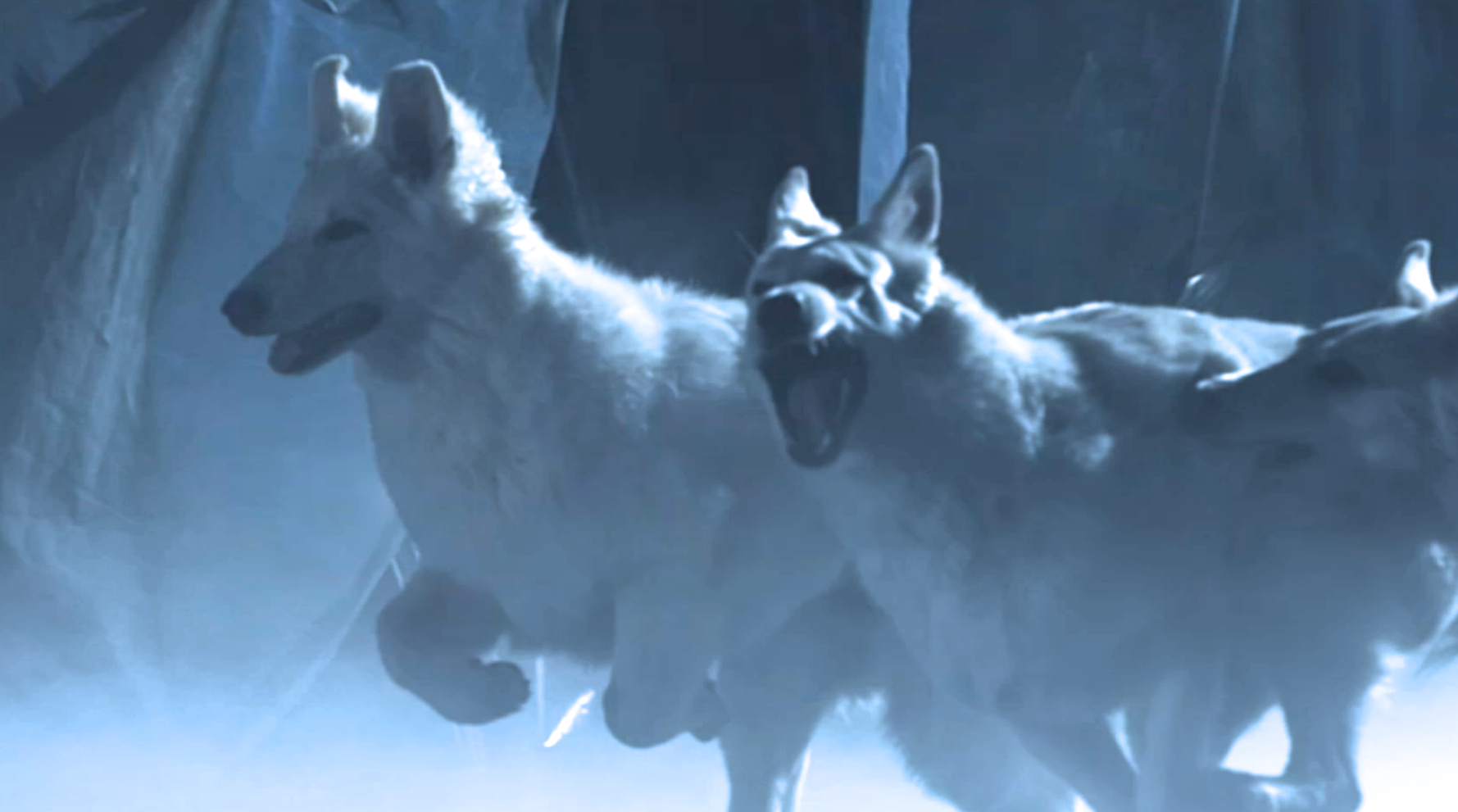 VIDÉO À l’Ombre le nouveau clip de Mylène Farmer est arrivé