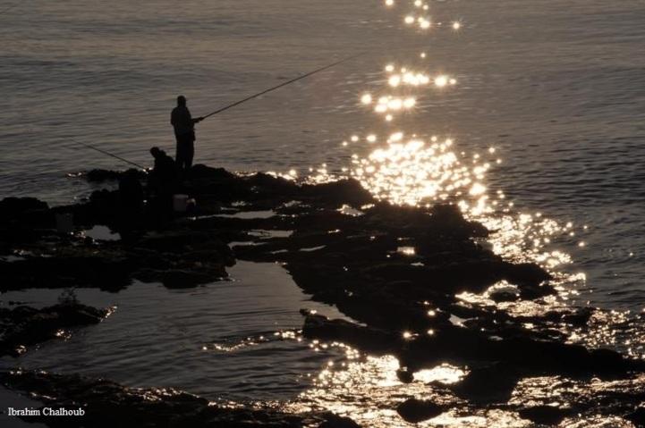 Poissons ou lumière? Photo (C) Ibrahim Chalhoub