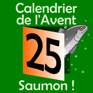 calendrier gourmand au saumon