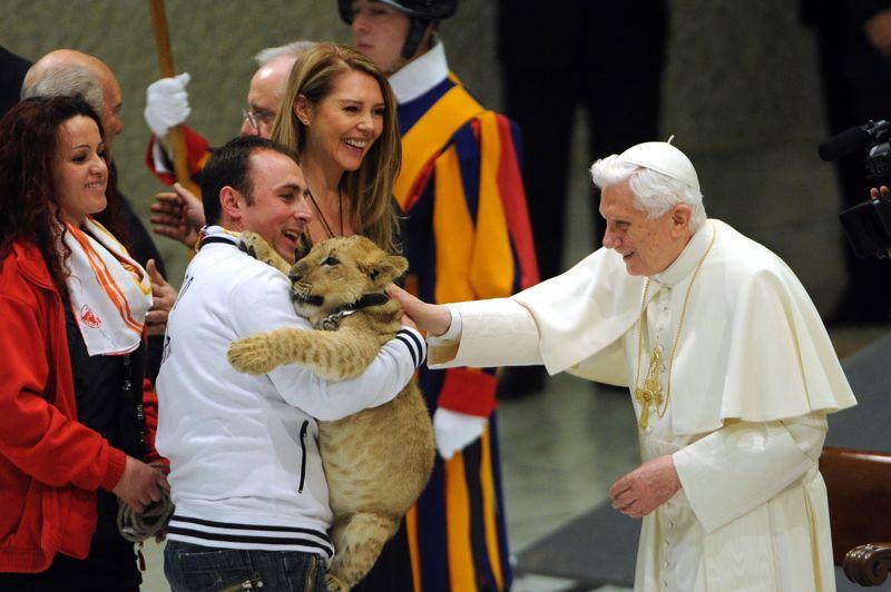 Un vrai cirque!Tel Monsieur Loyal, le pape Benoît XVI est entré en piste, recevant des représentants du monde du cirque. Il a rencontré de nombreux clowns, acrobates et autres magiciens, les encourageant à continuer «à étonner et susciter l'émerveillement, à offrir des occasions de fête et de sain divertissement». La ménagerie n'a pas été laissée de côté, et le pape a prêté une attention toute particulière à ce lionceau. Une image à mille lieues de la solennité représentative du Vatican.