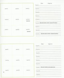 Potager en carrés : repiquer les épinards, semer l'ail