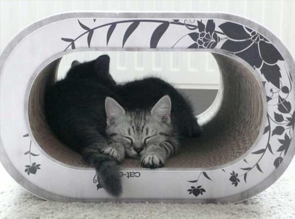 Les griffoirs pour chat Cat-on®
