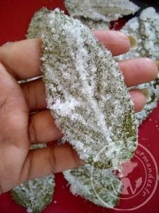 Quand mes partenaires cuisinent bien ensemble #1: Feuilles de menthe cristallisées