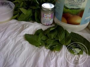 Quand mes partenaires cuisinent bien ensemble #1: Feuilles de menthe cristallisées