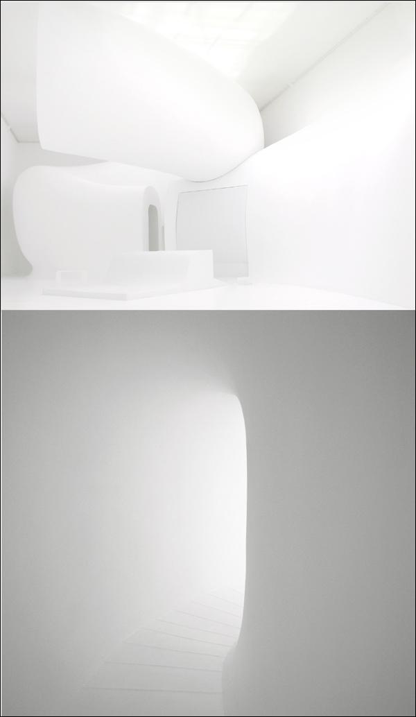 The snake - François Roche - 5