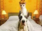 Maudit Karma David Safier)