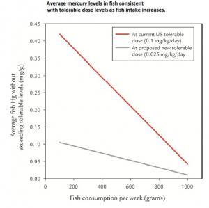 NUTRITION: Trop de poisson, trop de méthylmercure, trop de risques pour le cerveau – ZMWG