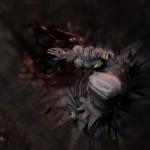 Images et artworks de Soul Sacrifice