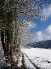 paysage,neige,campagne,hiver,arbre,chemin,haut jura,poésie,littérature,poème,déneigement,récit des lisières,blog littéraire de christian cottet-emard,photographie
