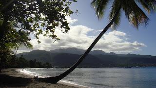Grand Trail de la Dominique: il reste des places...